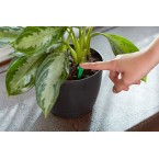 Miracle-Gro Indoor Plant Food