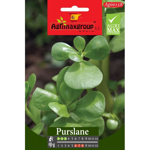 Purslane Agrimax Seeds