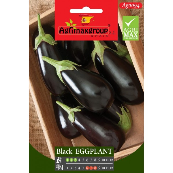 Black Eggplant Agrimax Seeds