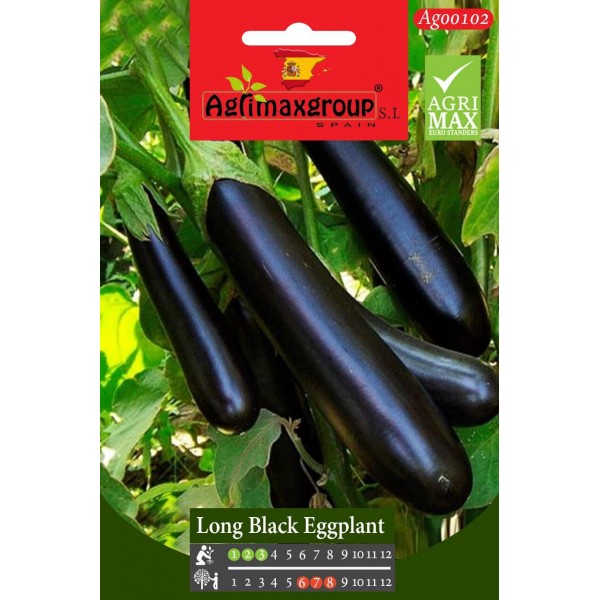 Long Black Eggplant Agrimax Seeds