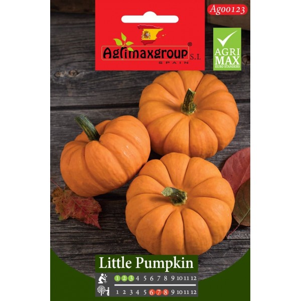 Little Pumpkin Agrimax Seeds