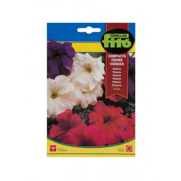 Dwarf Petunia Compact Mix Flower – Fito Seeds