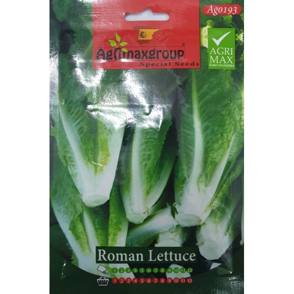 Roman Lettuce Agrimax Seeds