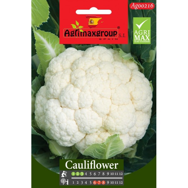 Cauliflower seeds agrimax