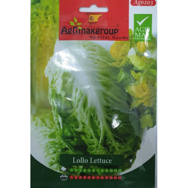 Lollo Lettuce Agrimax Seeds