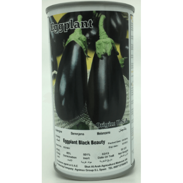 Eggplant Black Beauty Seeds Tin