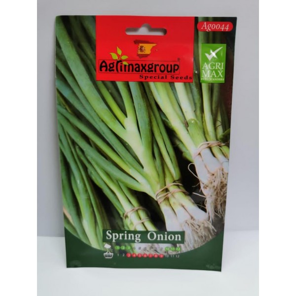 Spring Onion