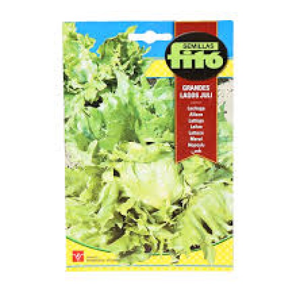 Lettuce Grandes Lagos Juli 6g – Fito