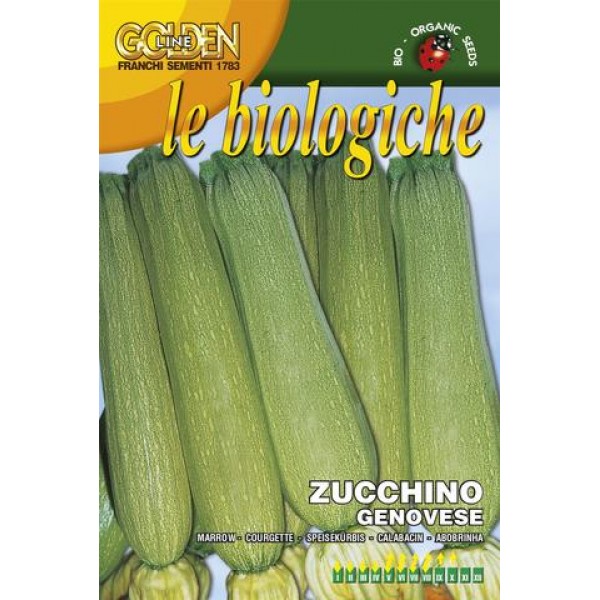 Squash Genovese – Franchi Seeds