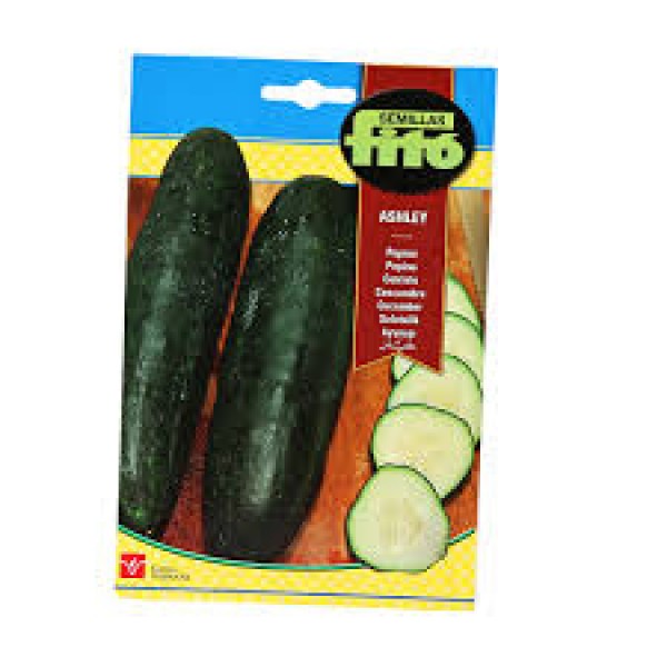 Semillas Fito Cucumber Ashley 10g – Fito