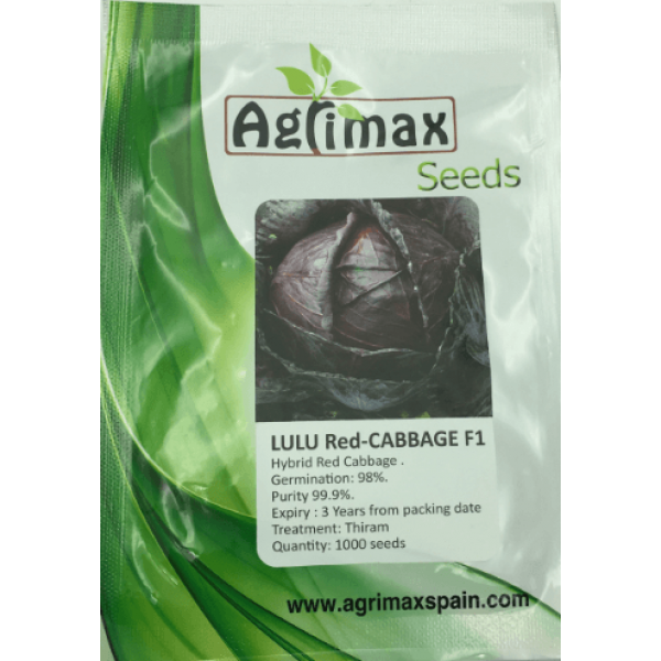 Lulu Red-cabbage F1 Premium Quality Seeds