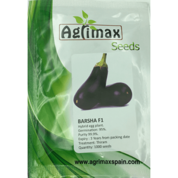 Egg Plant Barsha F1 Premium Quality Seeds