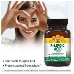 Country Life R-Lipoic Acid 100 mg - 60 Vegan Capsules - Heat Stable R-Lipoic Acid - Protects Against Free radicals