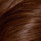 Clairol Nice'n Easy Perfect 10 Permanent Hair Color, 6WN Light Chocolate Brown