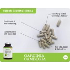 Buy NatureWise Pure Garcinia Cambogia Natural HCA Extract Online in UAE