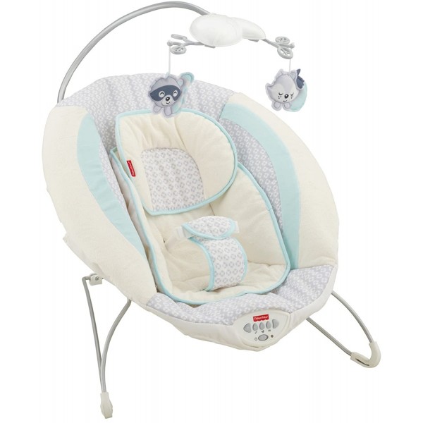 Fisher-price Moonlight Meadow Deluxe Bouncer