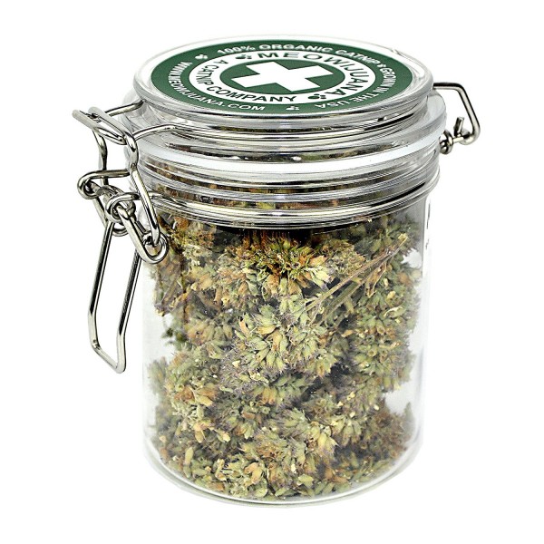 Buy online Meowijuana Jar of Buds imported From USA