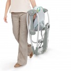 Ingenuity Swing 'n Go Portable Baby Swings - Hugs & Hoots (10247)