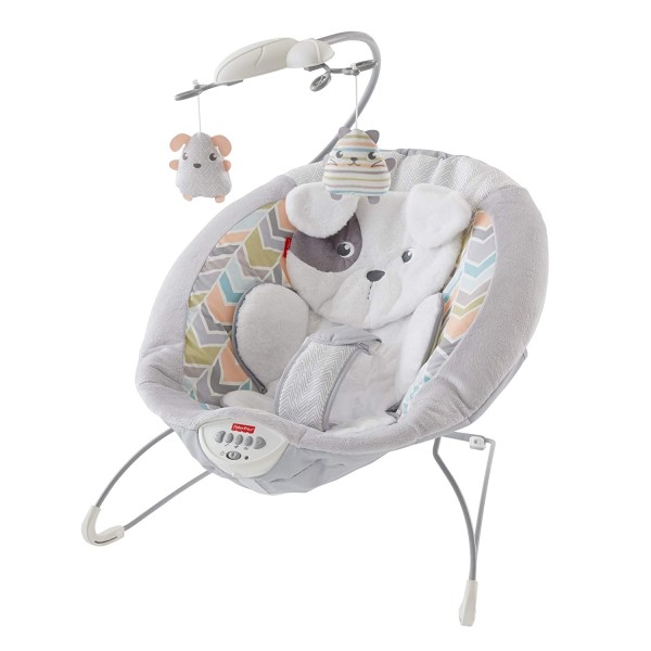 Fisher-price Deluxe Bouncer: Sweet Dreams Snugap..