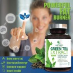 Green Tea Extract Standardized EGCG for Weight Loss Made in USA online in UAE