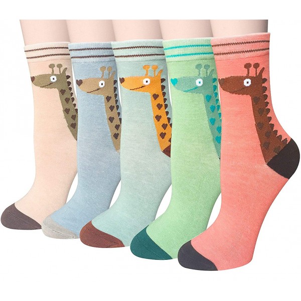 Shop 5 Pairs Cotton Socks for Women by Chalier Imported from USA