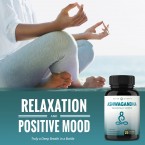 Buy Organic Ashwagandha - Premium Root Powder Supplement for Stress & Anxiety Relief in UAE