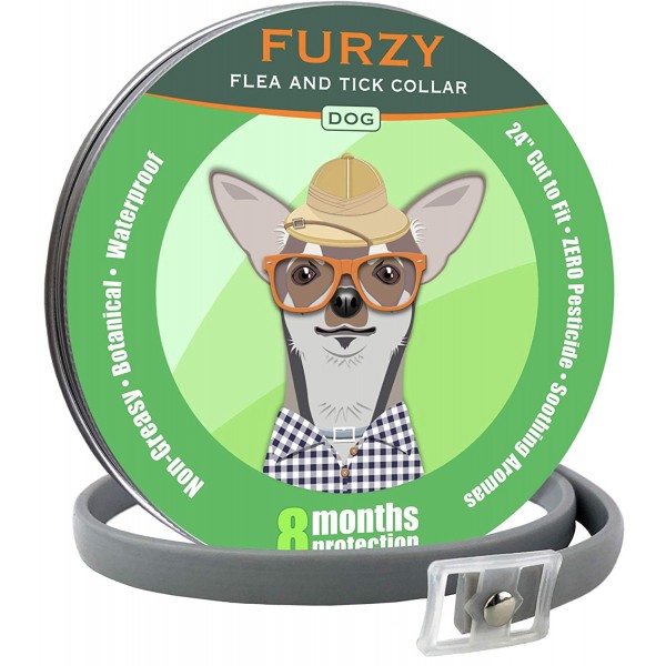 Buy Flea and Tick Prevention Collar for Dogs imported from USA